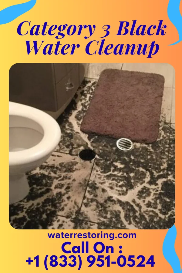 Category 3 Black Water Cleanup in Prairie Grove, AR